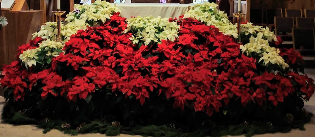 Colette Kabasakalian photo 17