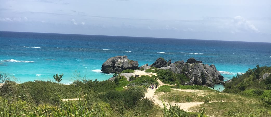 Debra Pardales photo 19