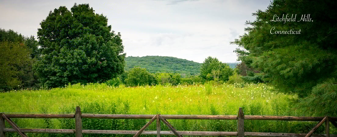 Steven Guthrie photo 1