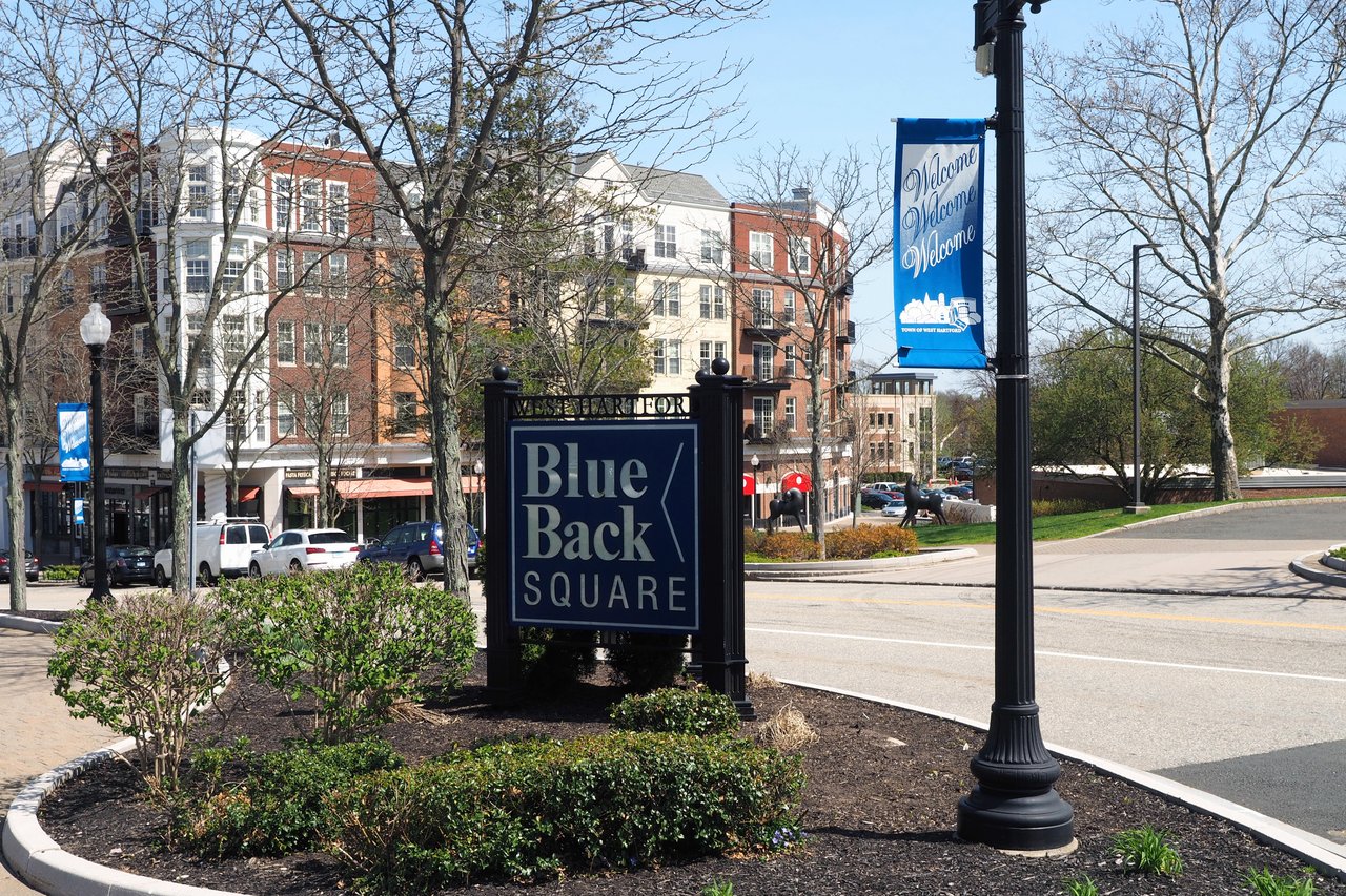 Welcome to Blue Back Square!