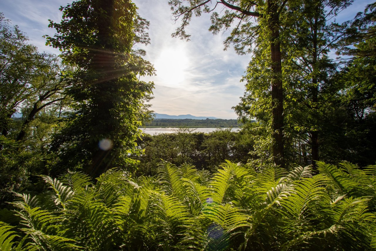 View of the Hudson River