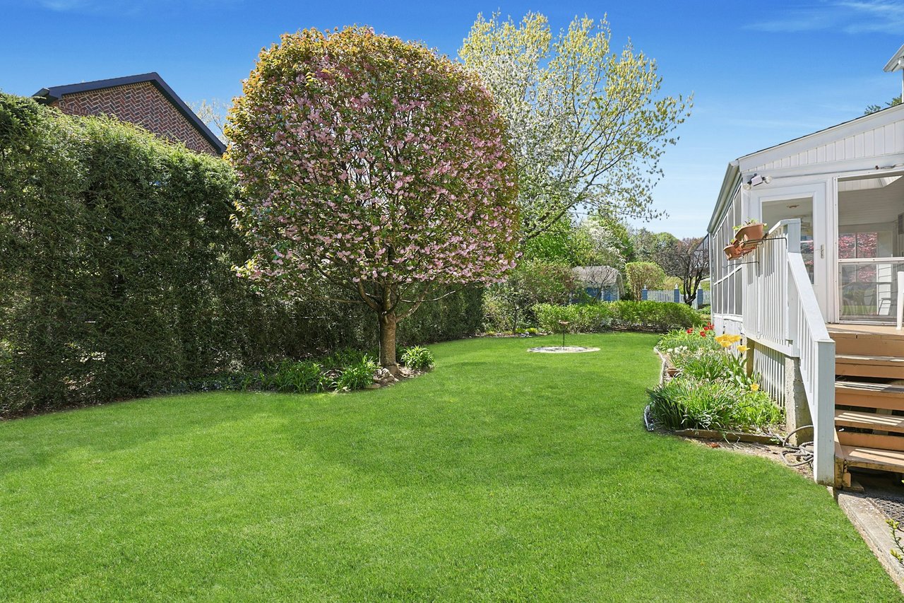 Back yard