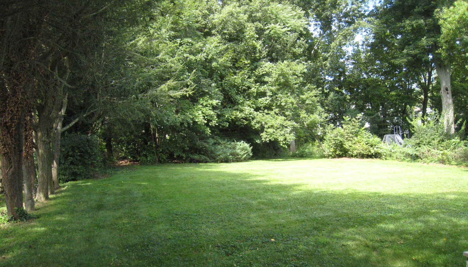 Image 24