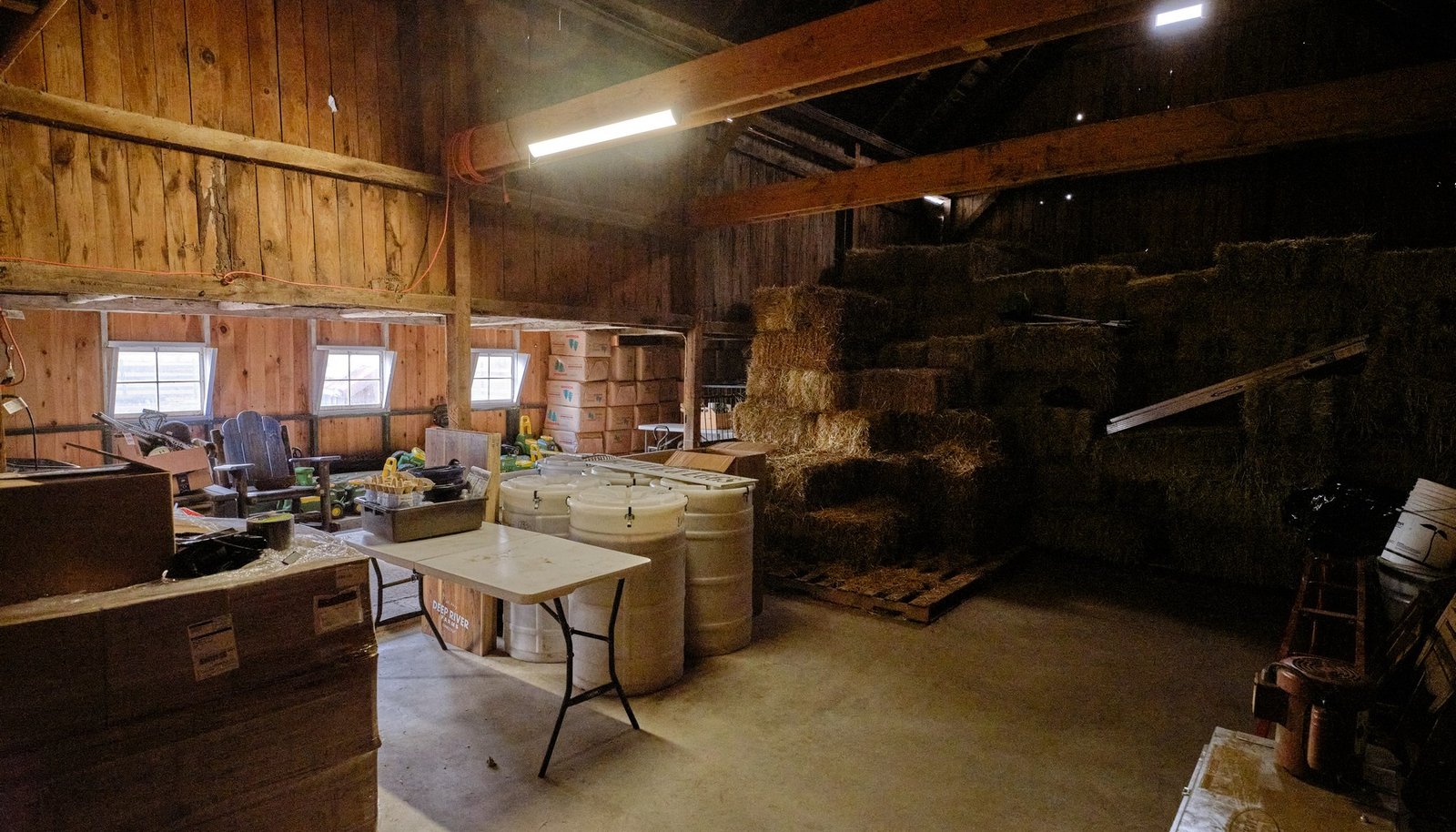 Image 8