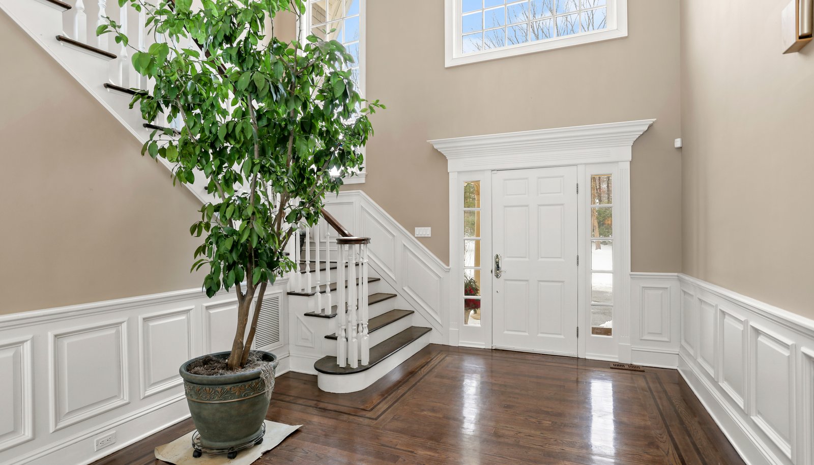 Image 19