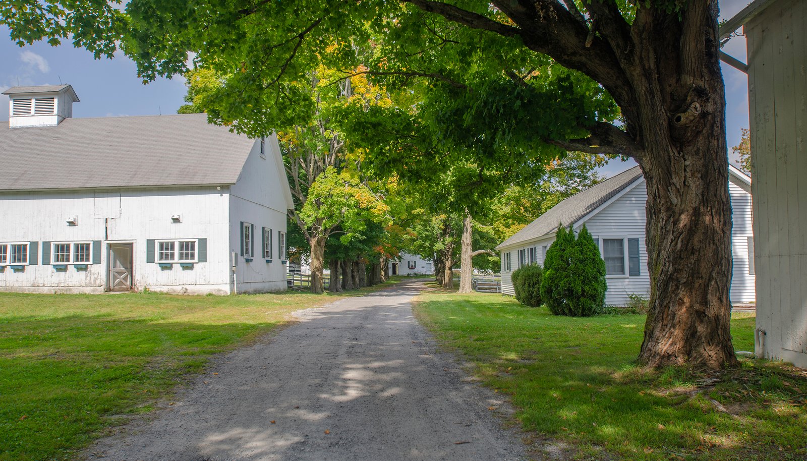 Image 14