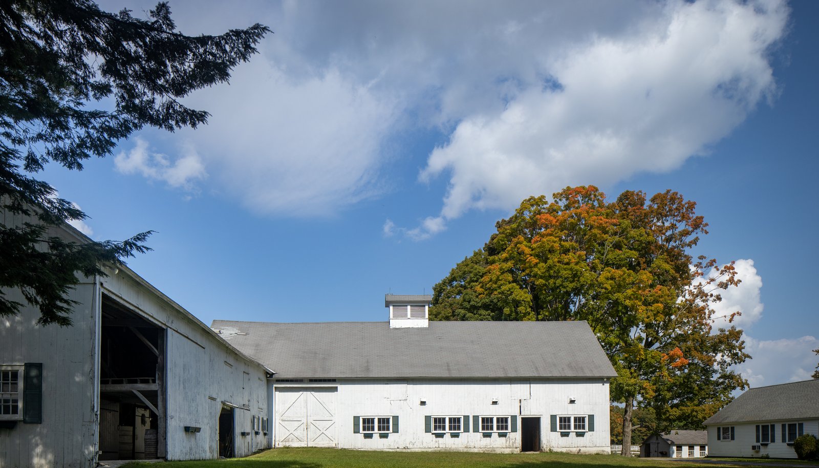 Image 15
