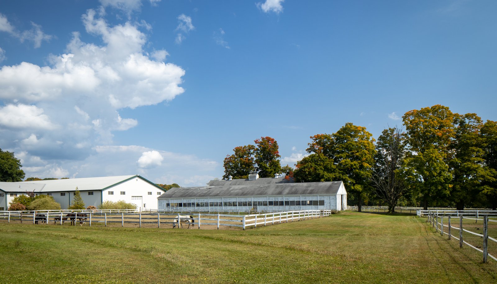 Image 22