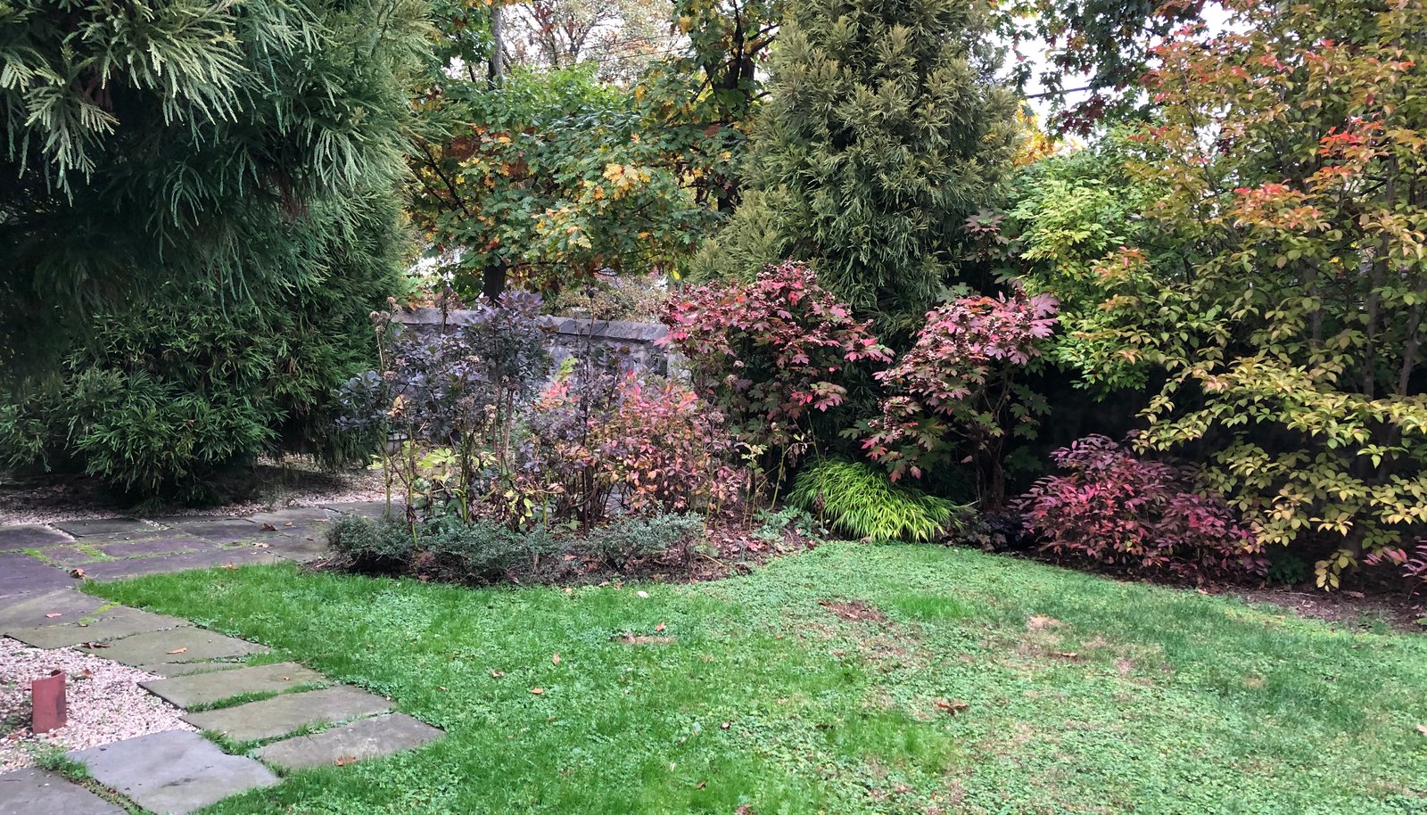 Image 31