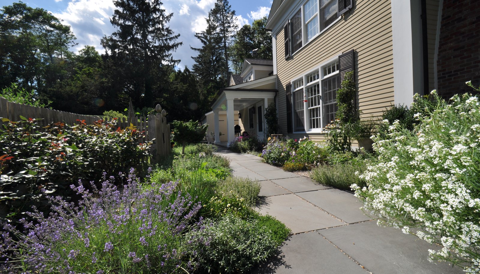 Image 9