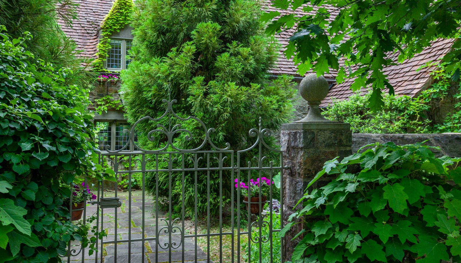 Image 22