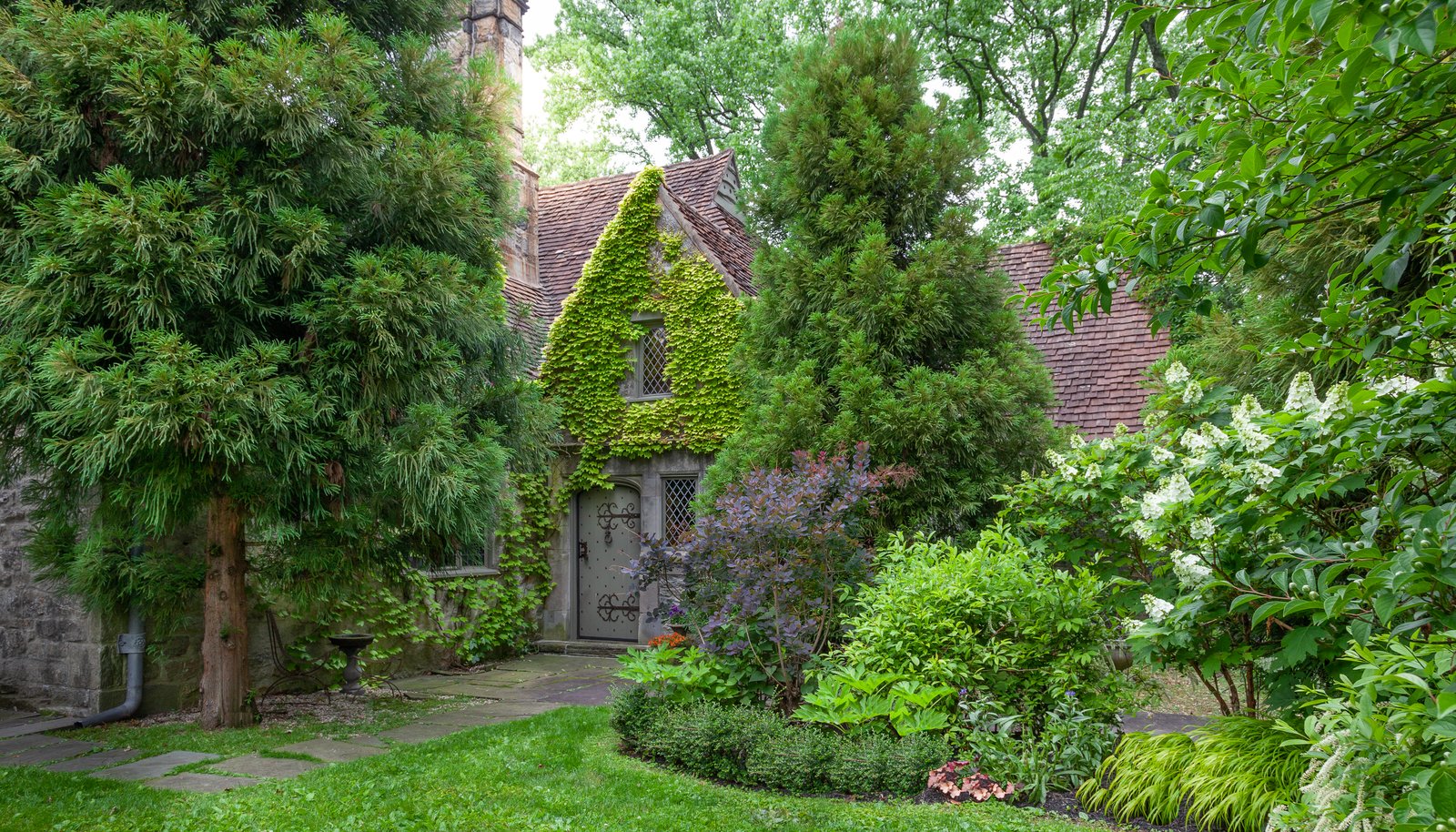Image 21