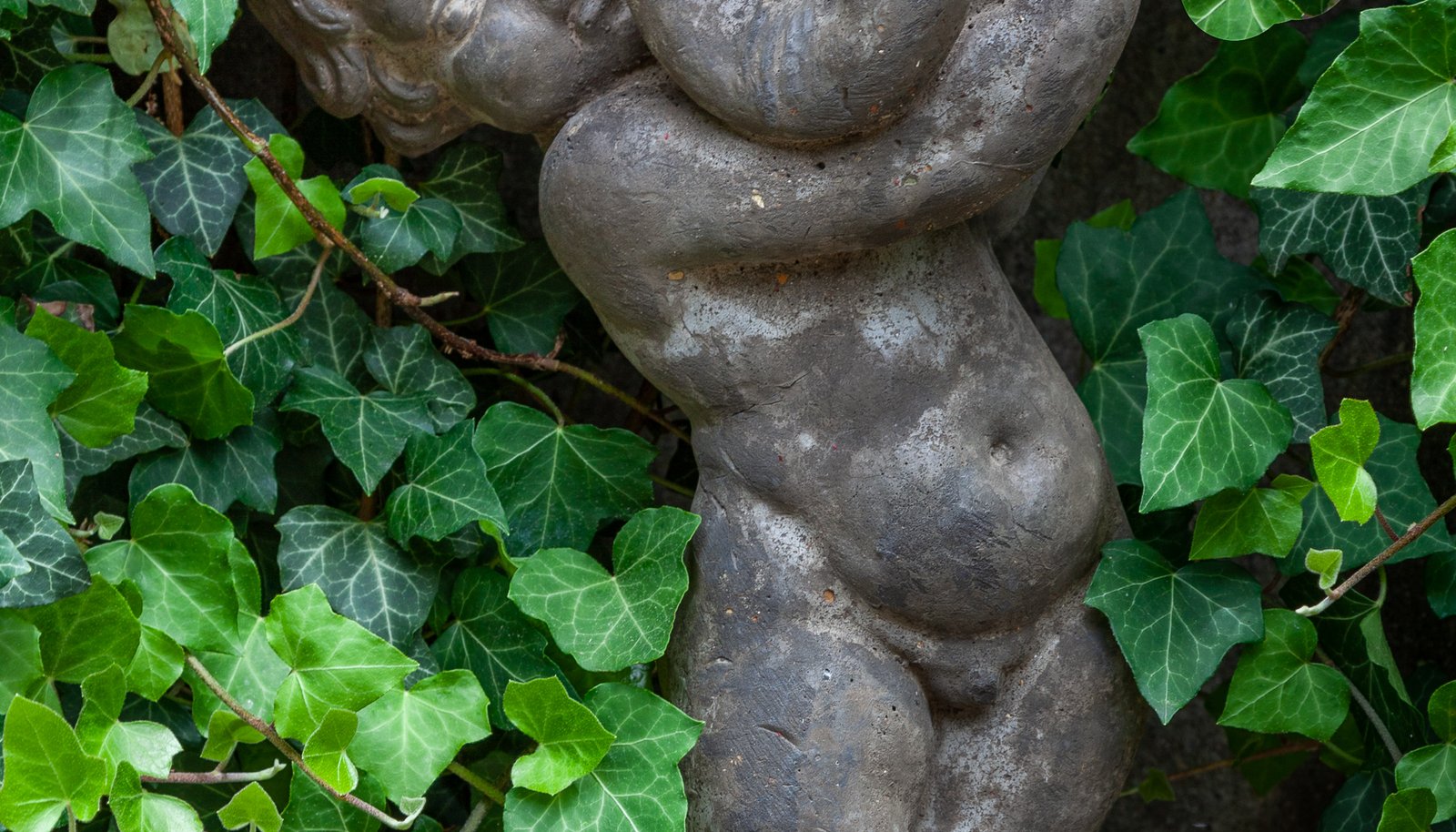 Image 27