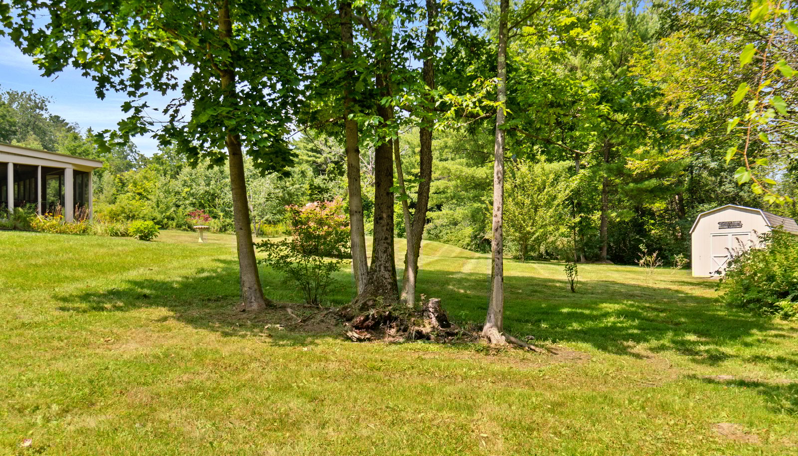 Image 25