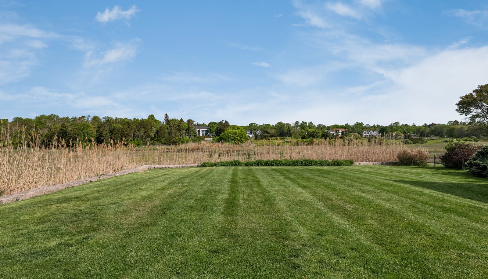 Image 29