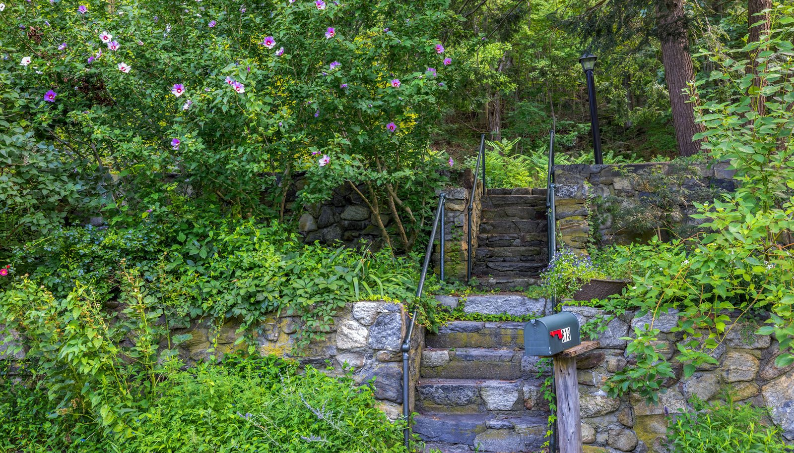 Image 27