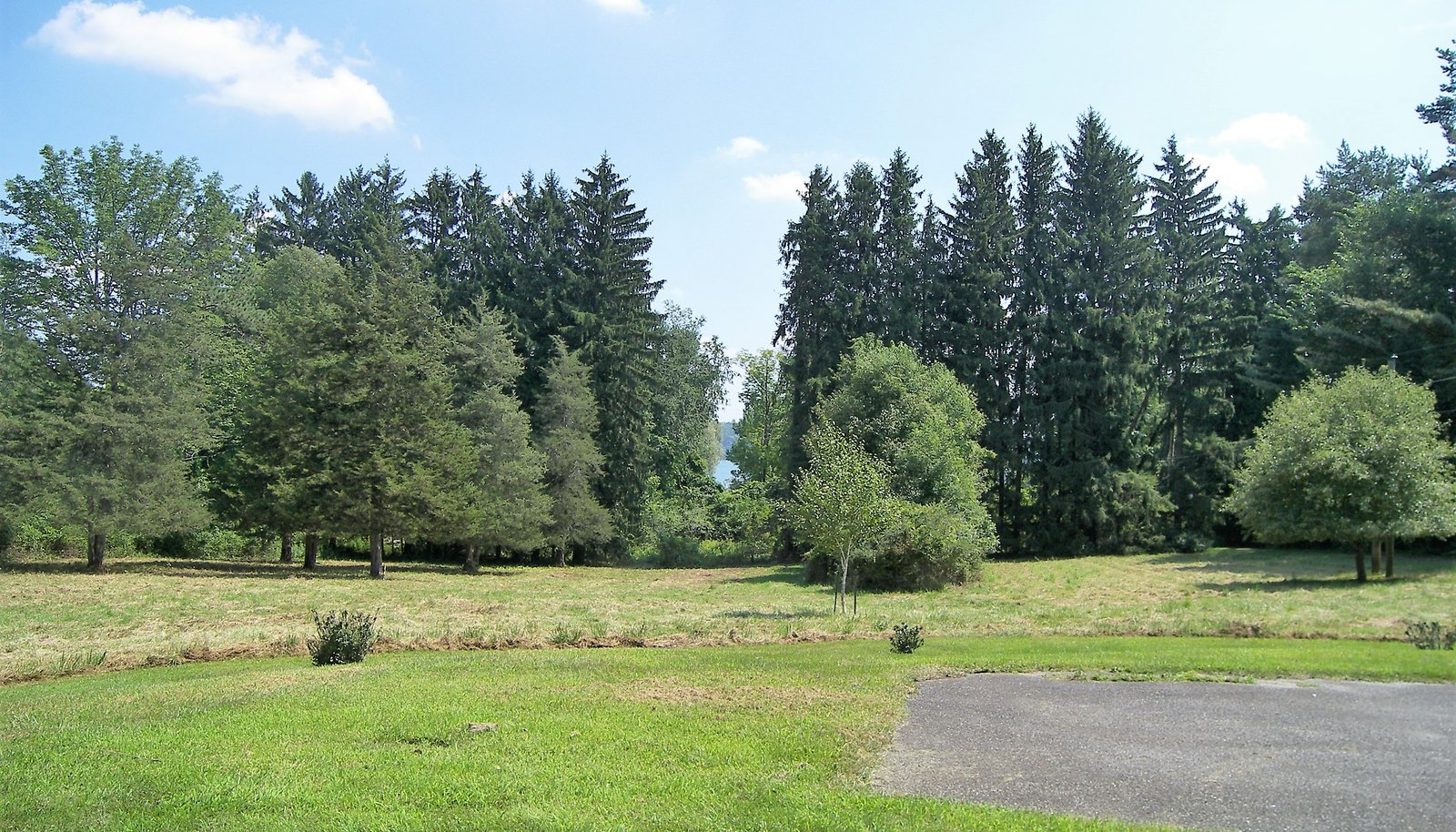 Image 13