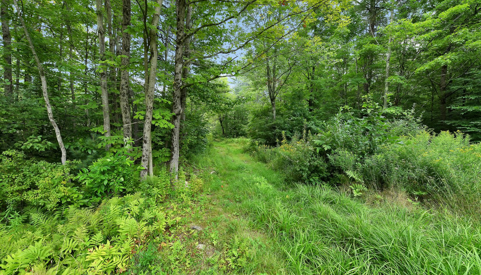 Image 13