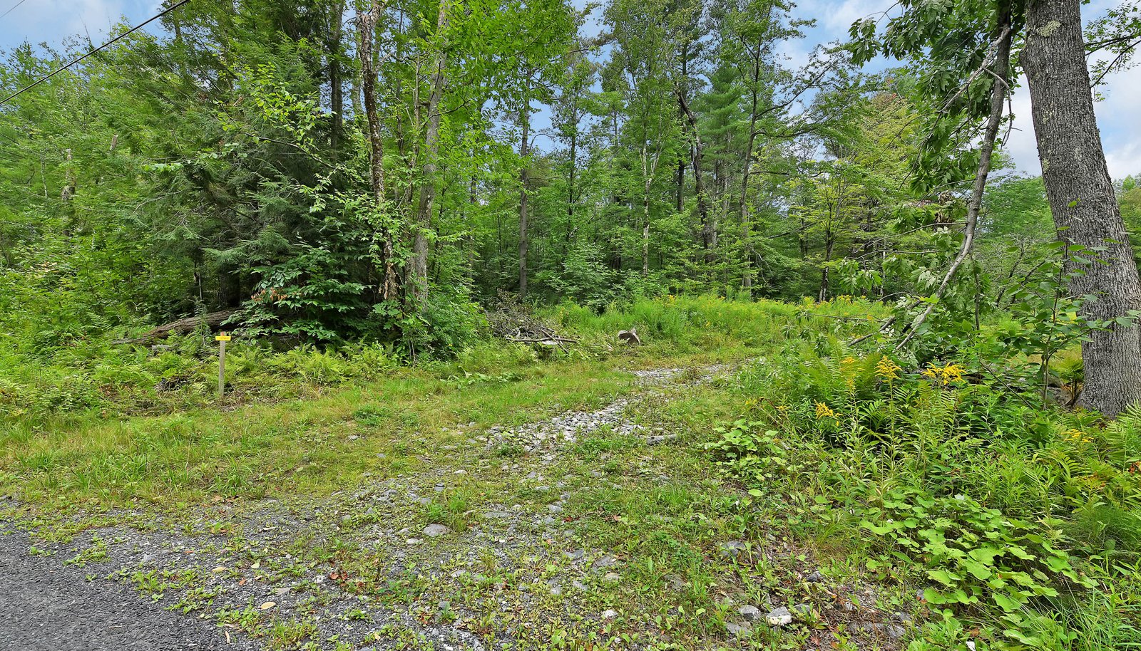 Image 17