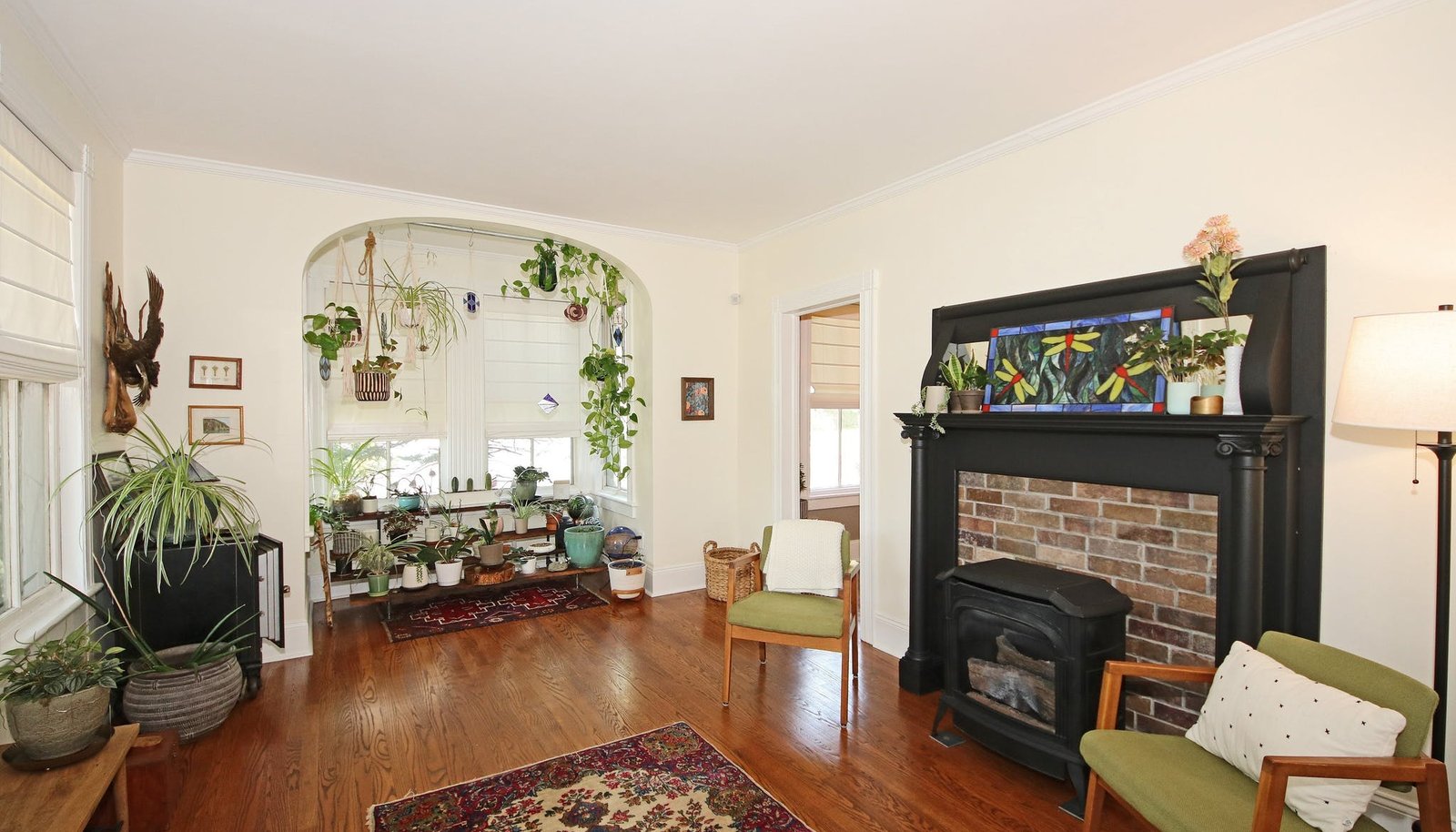 Image 11