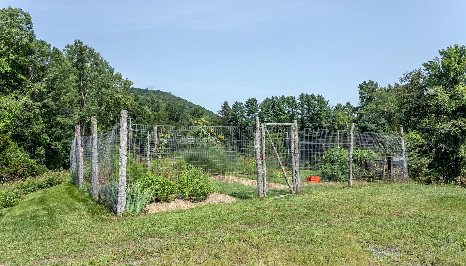 Image 32
