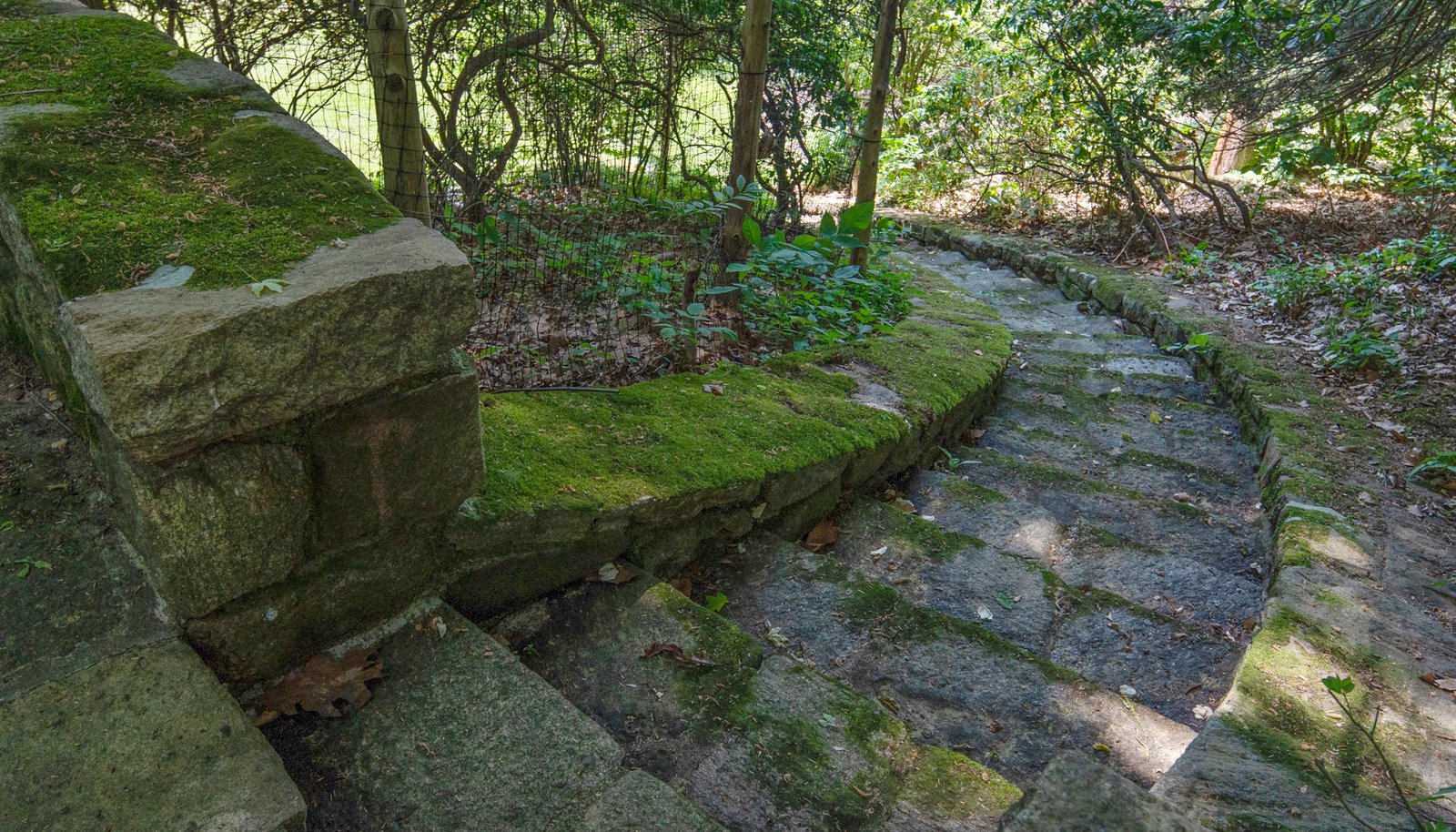 Image 69