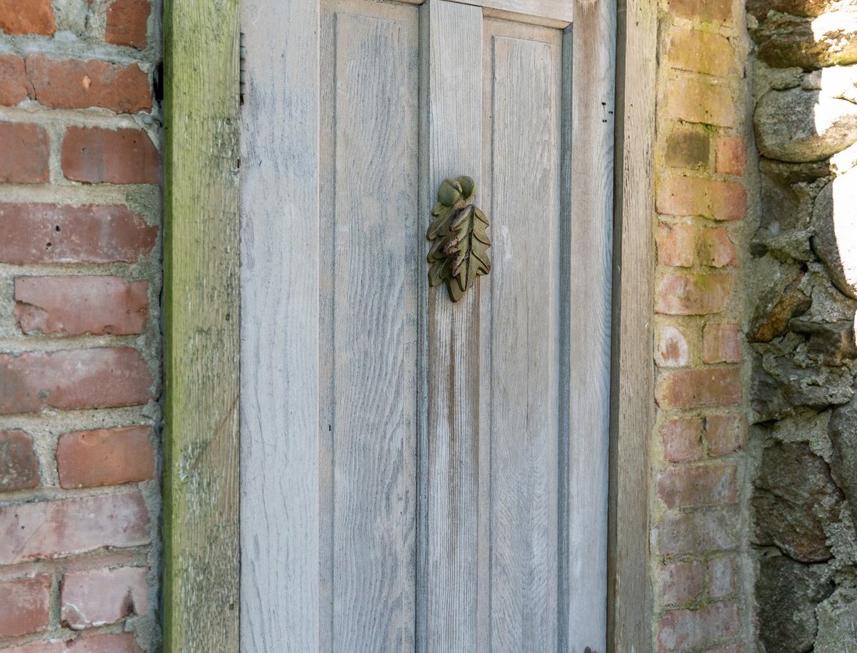 Image 30