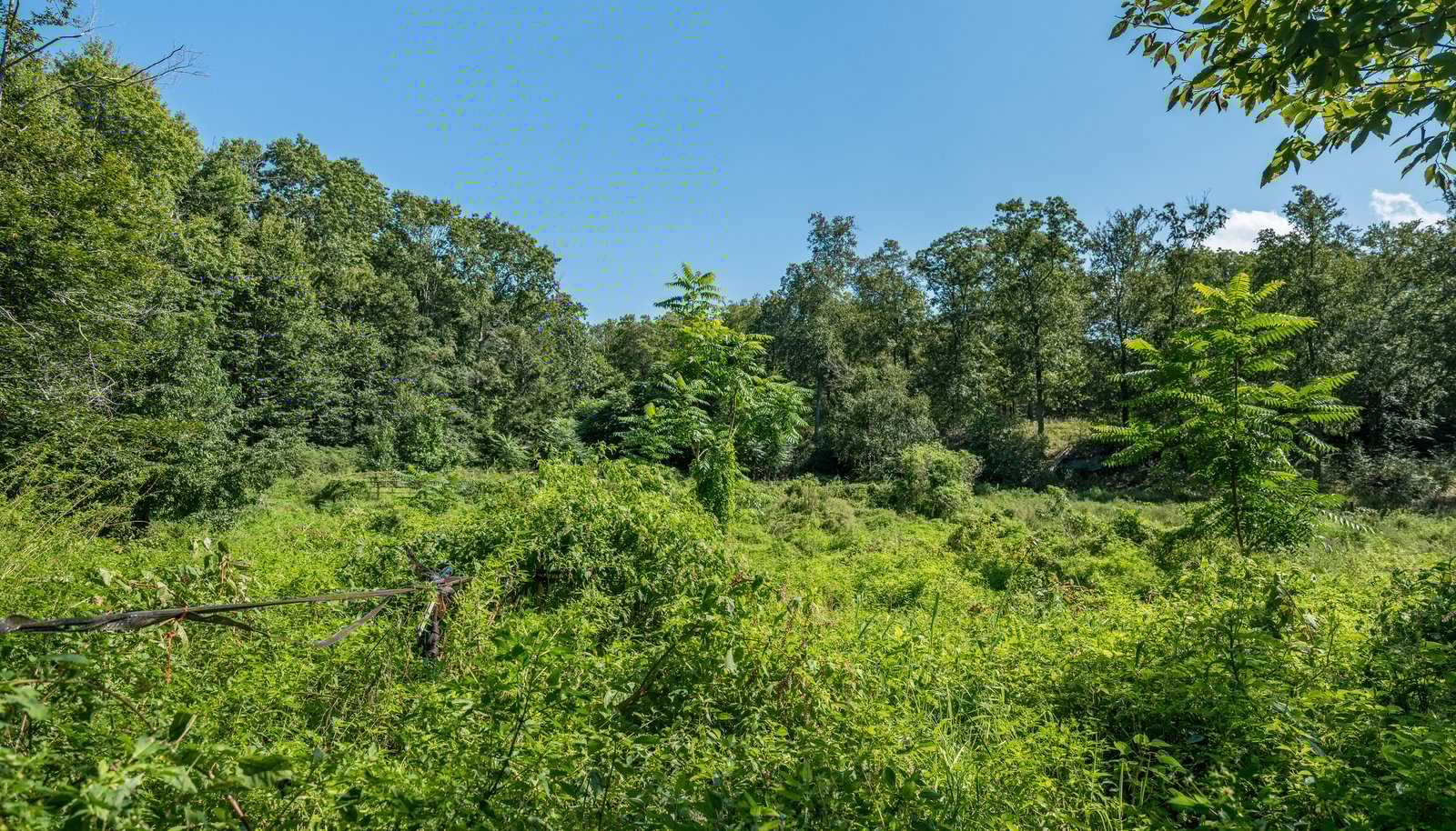 Image 37