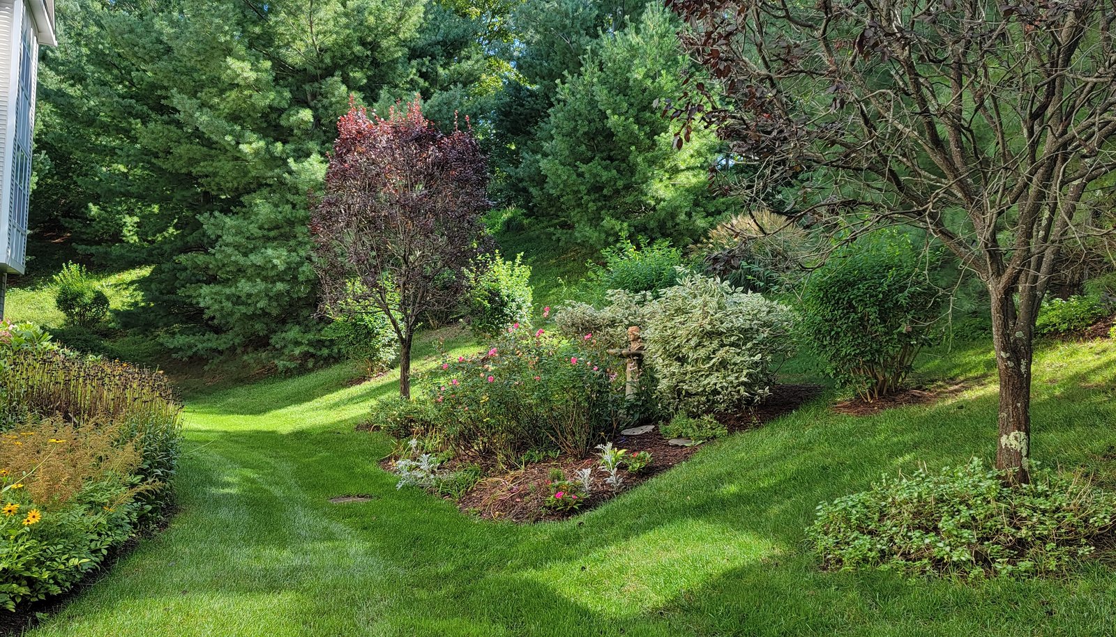 Image 27