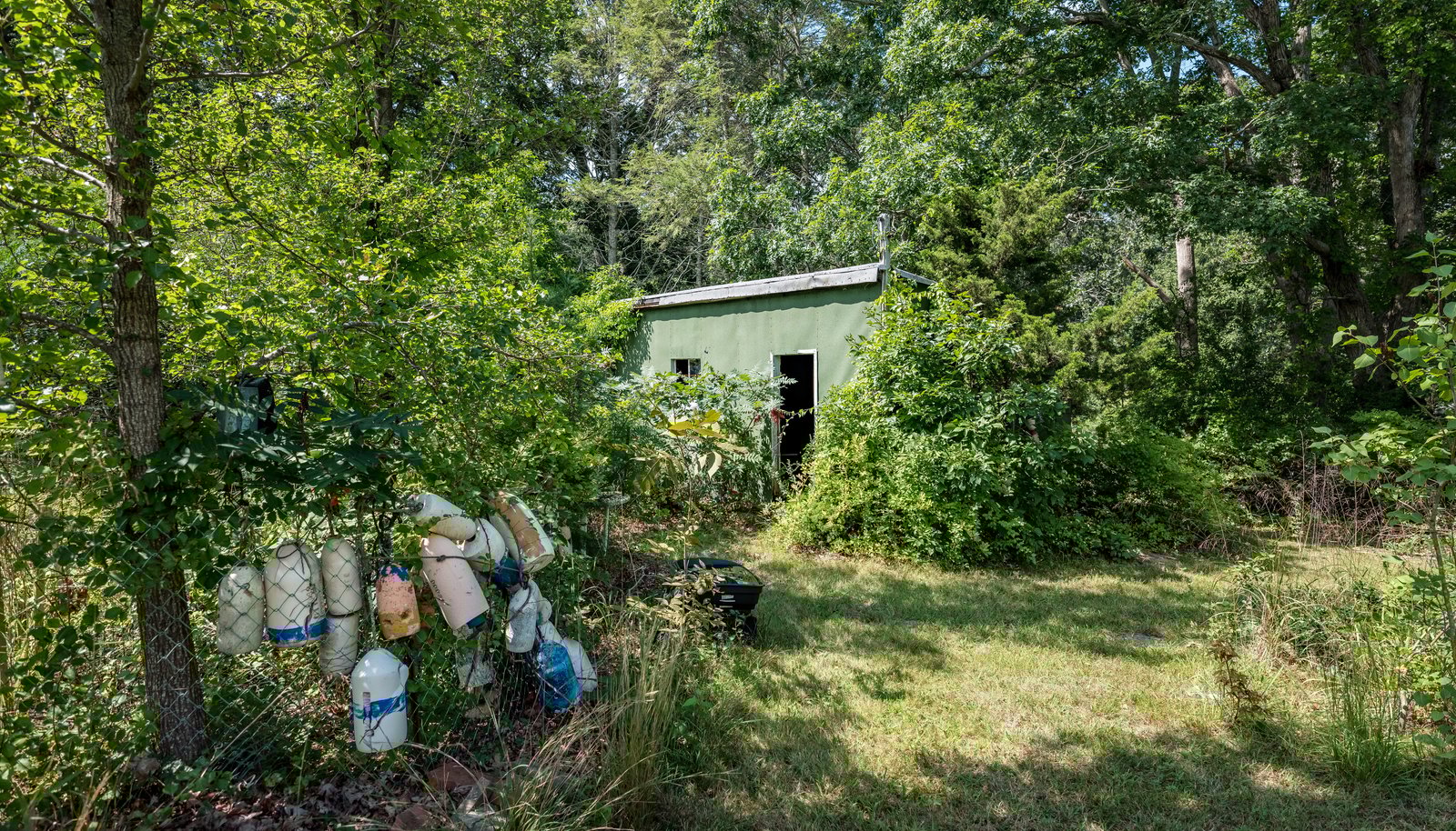 Image 6