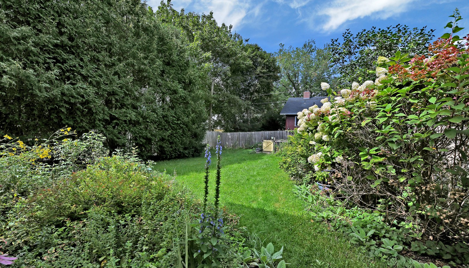 Image 28