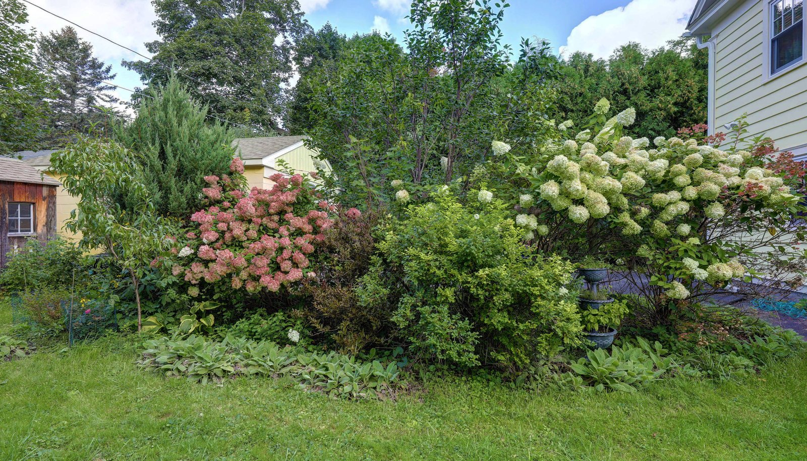 Image 30