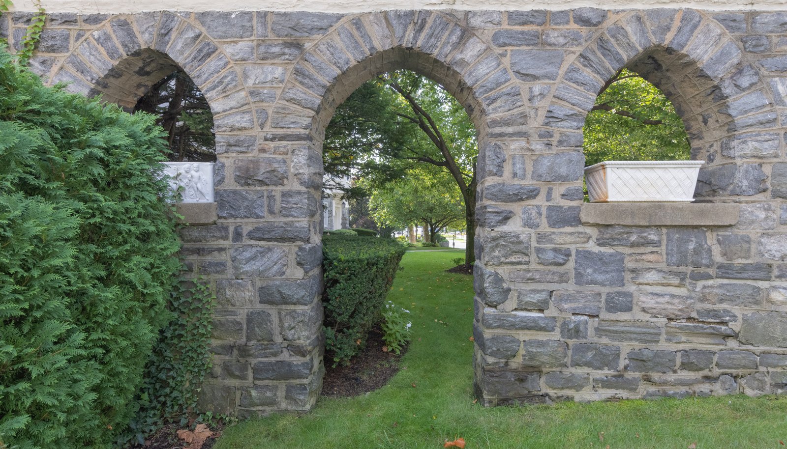 Image 29