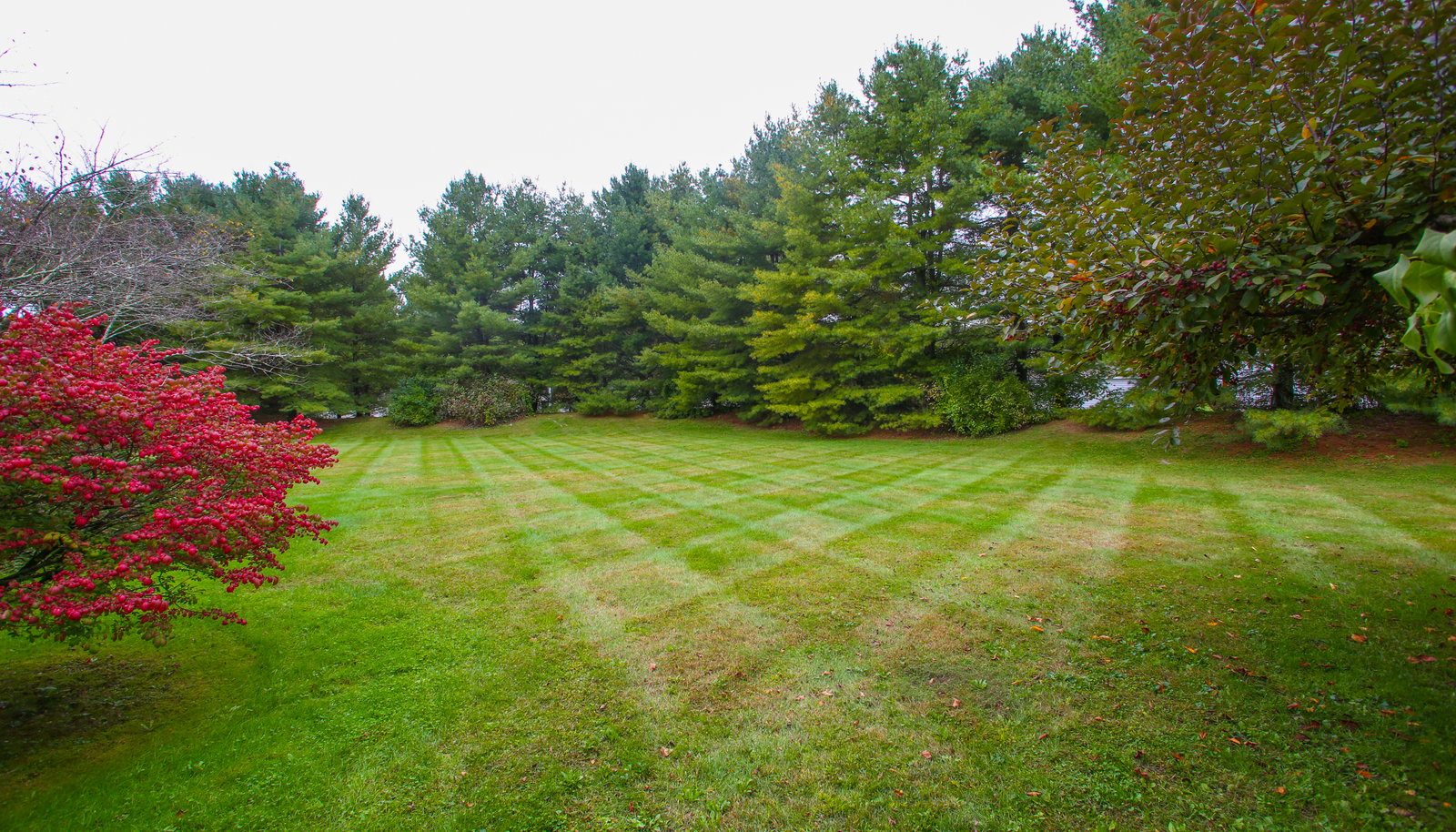 Image 15