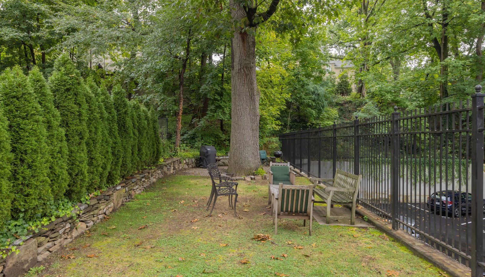 Image 20