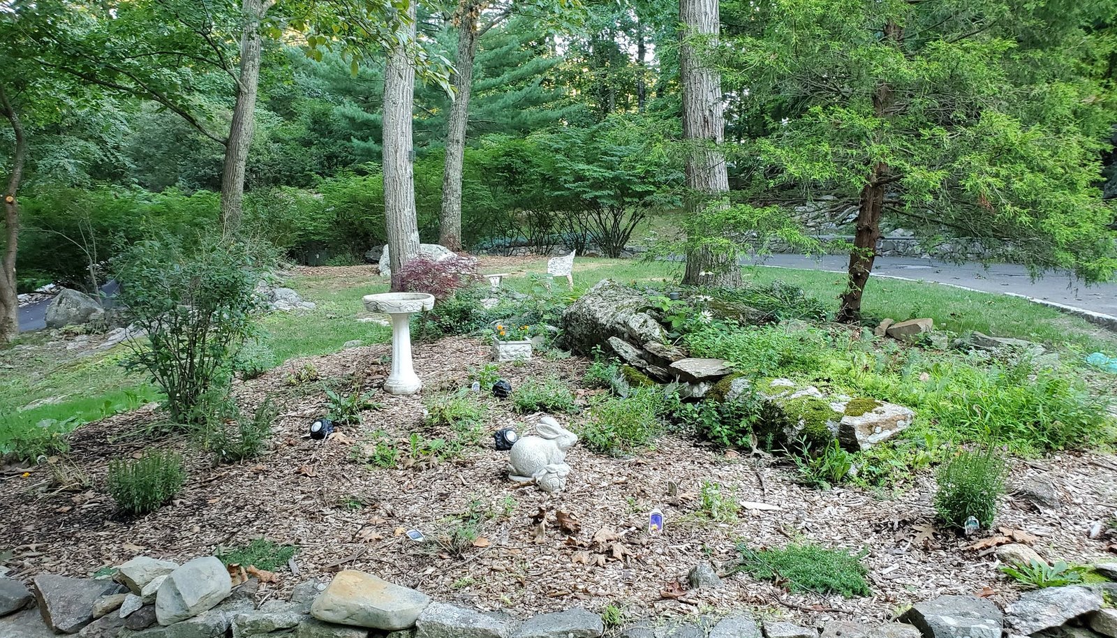 Image 27