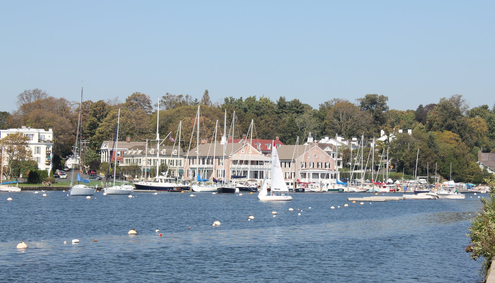 Image 12
