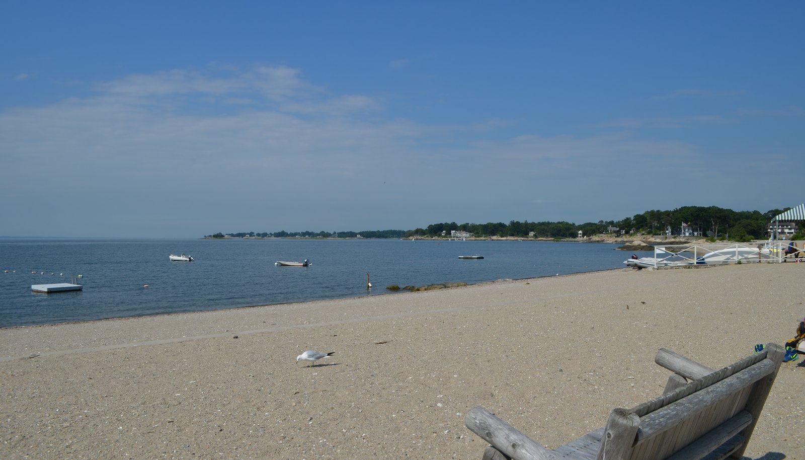 Image 45