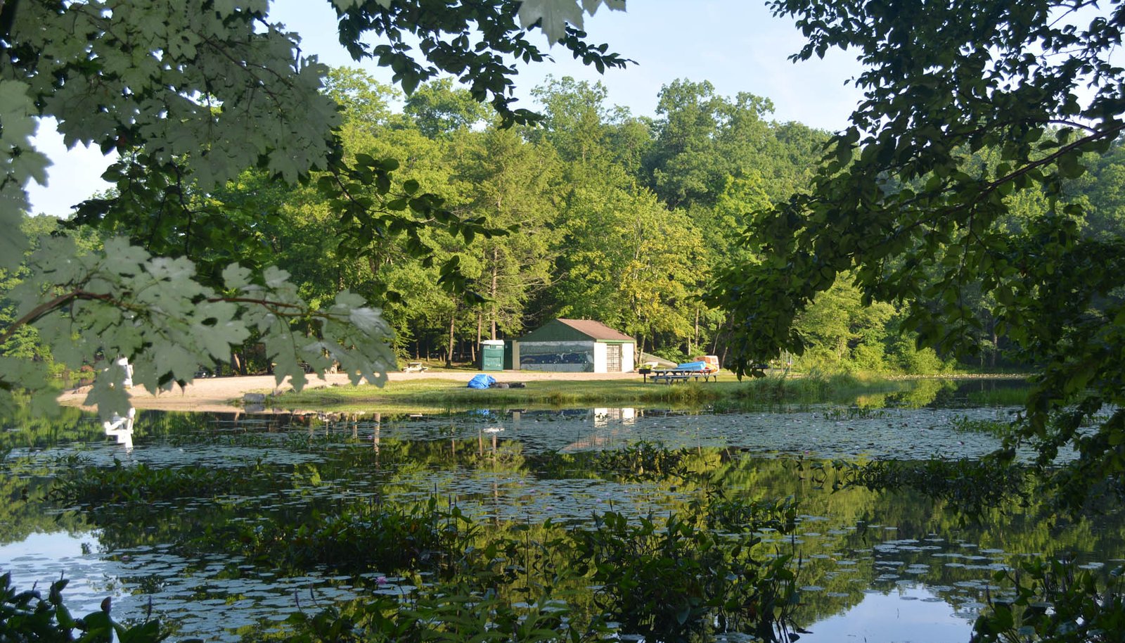 Image 29
