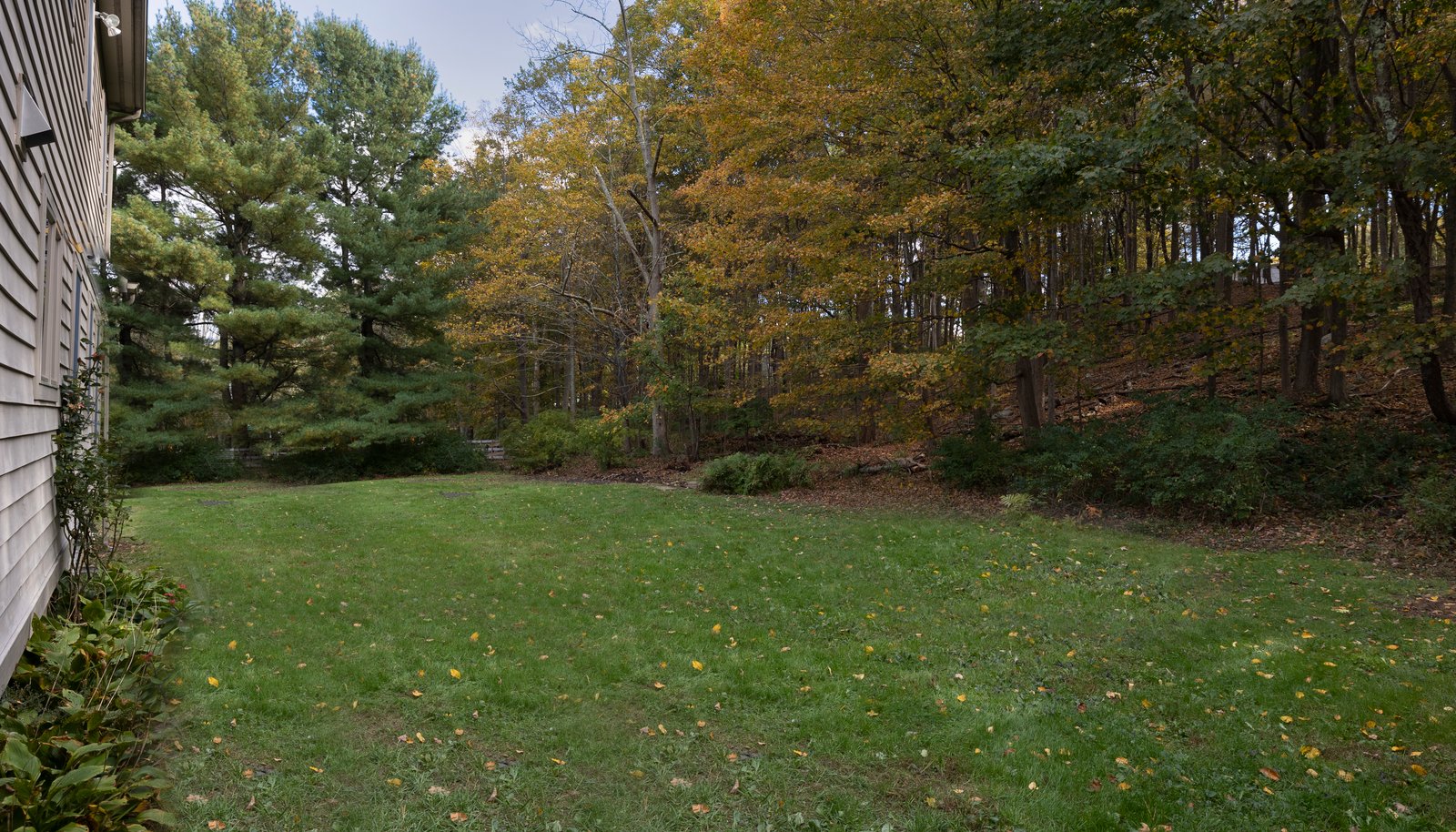 Image 32
