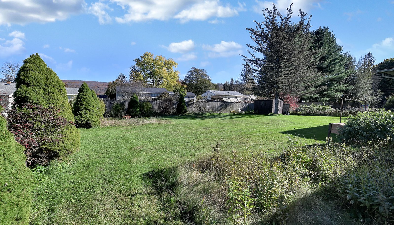 Image 26