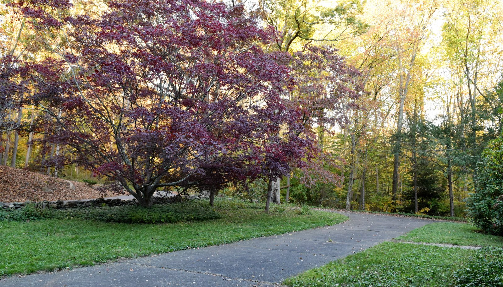 Image 19