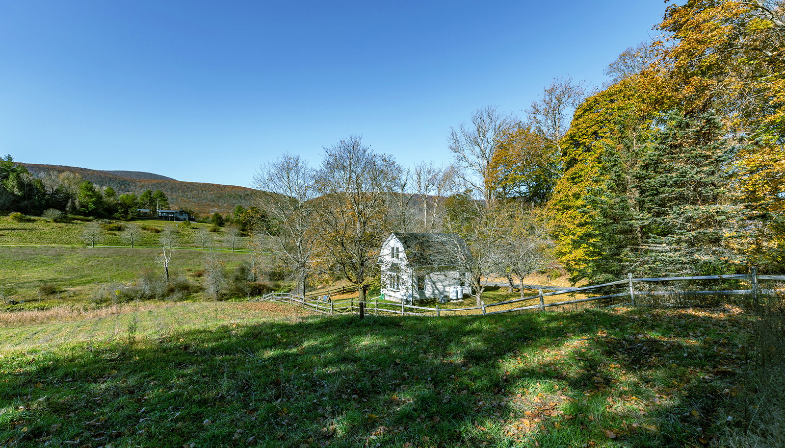 Image 36