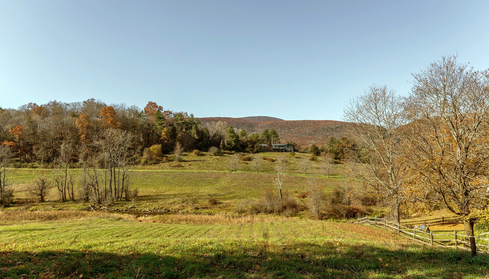 Image 37