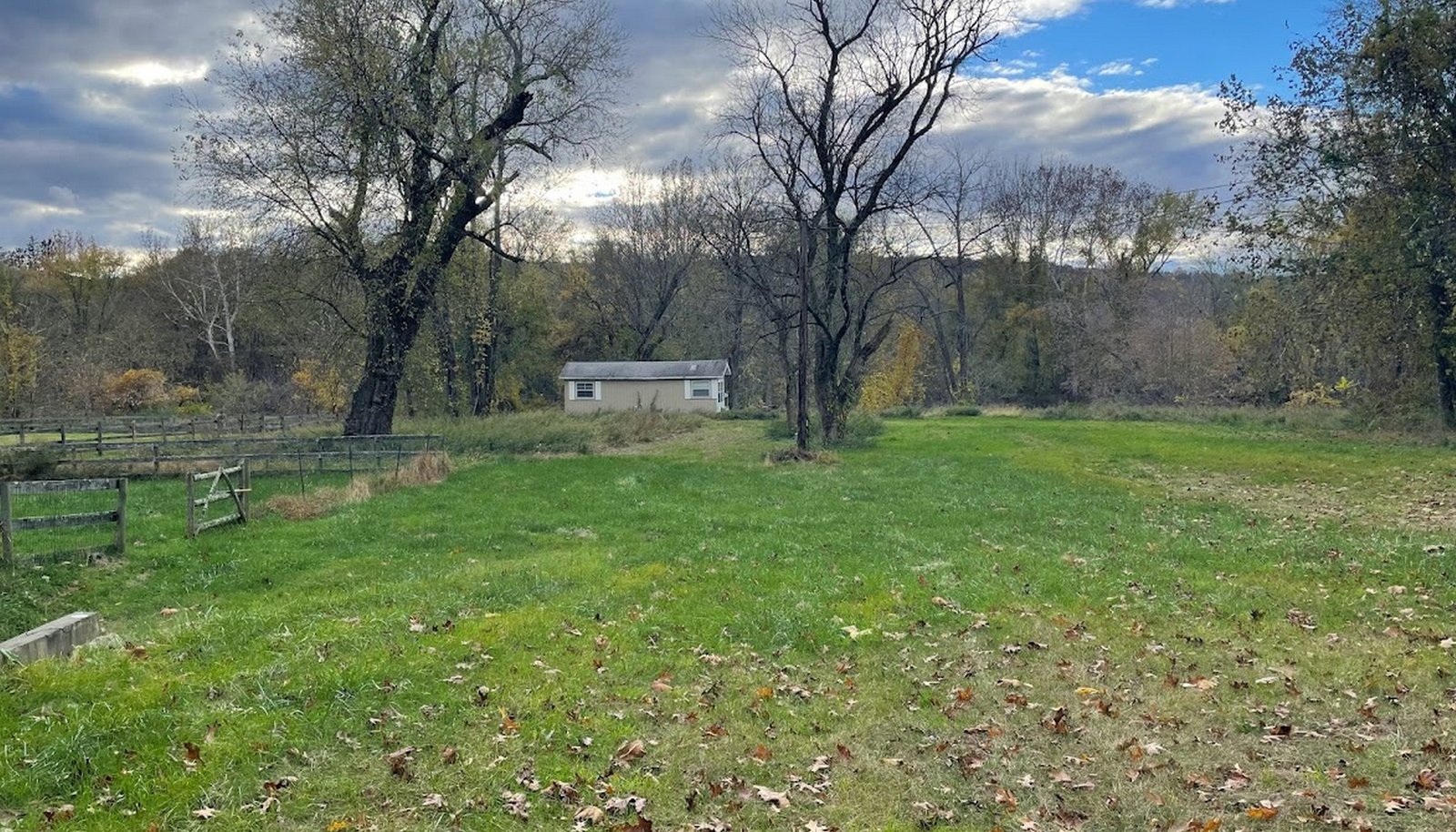 Image 19