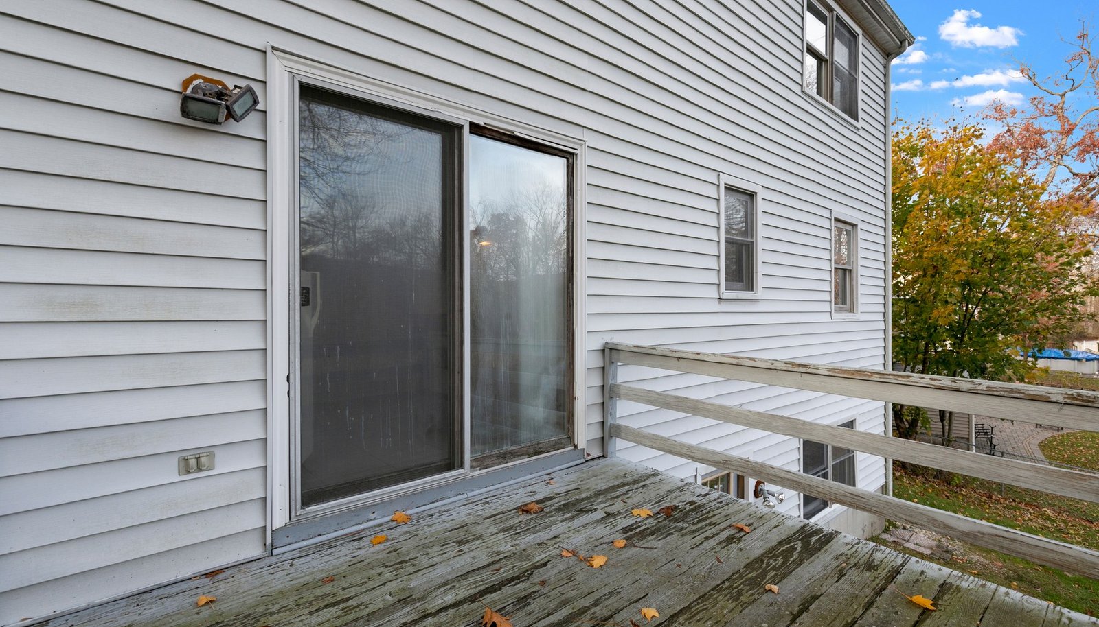 Image 22