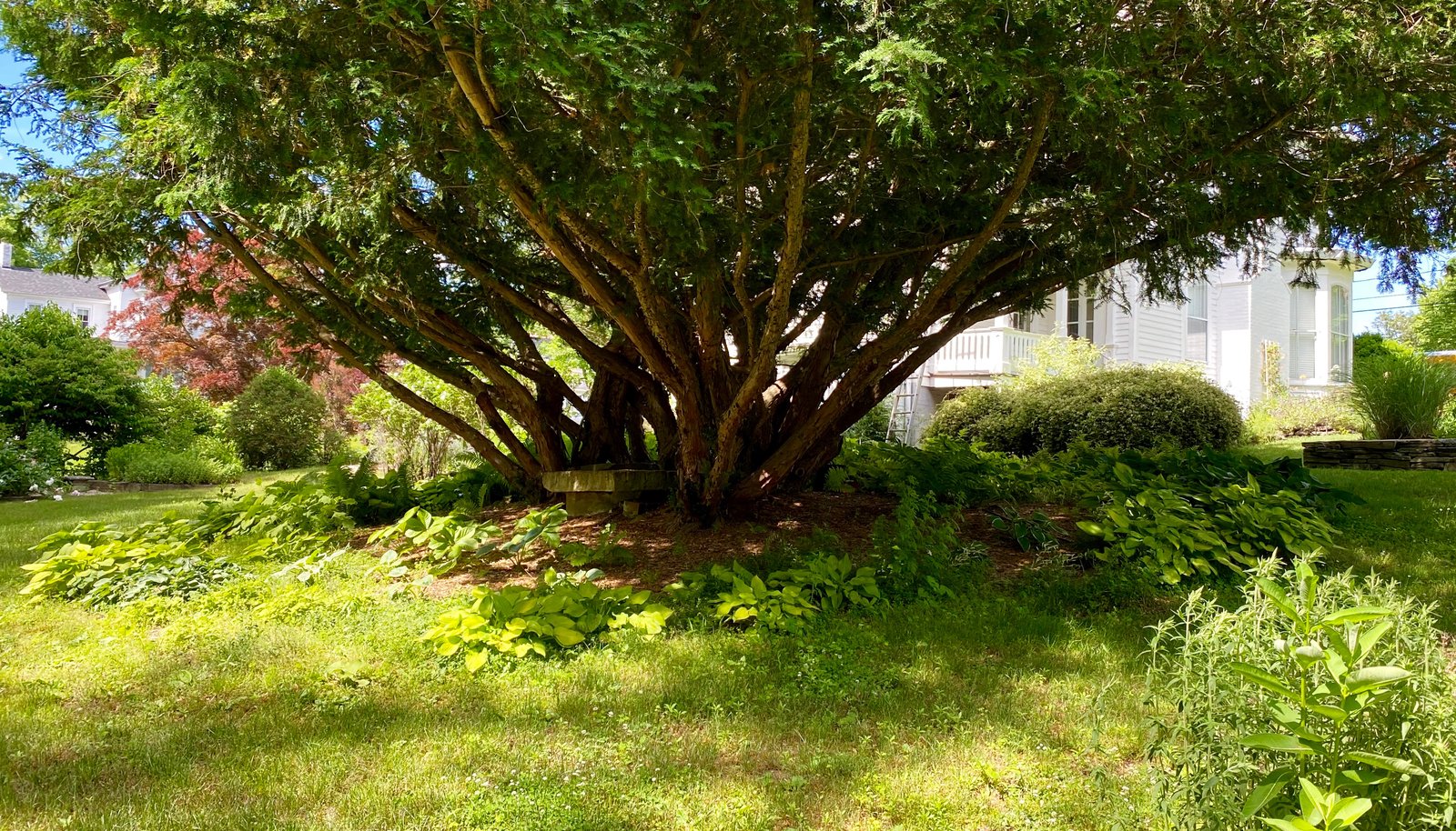 Image 11