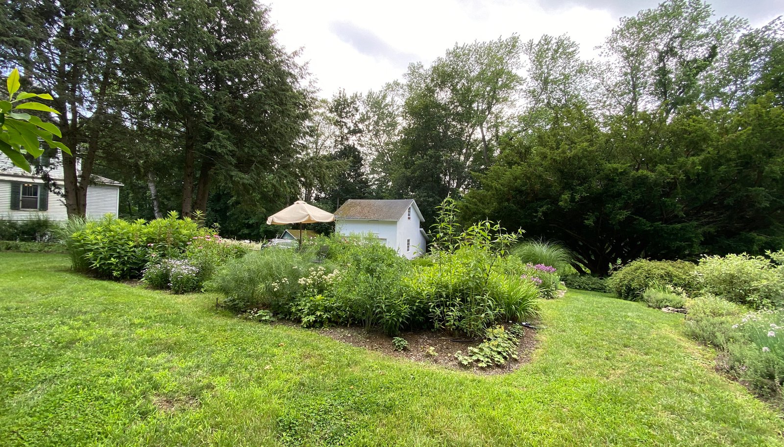 Image 13
