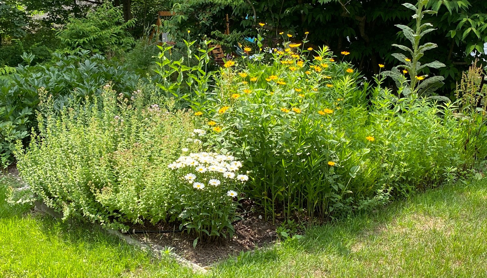Image 15