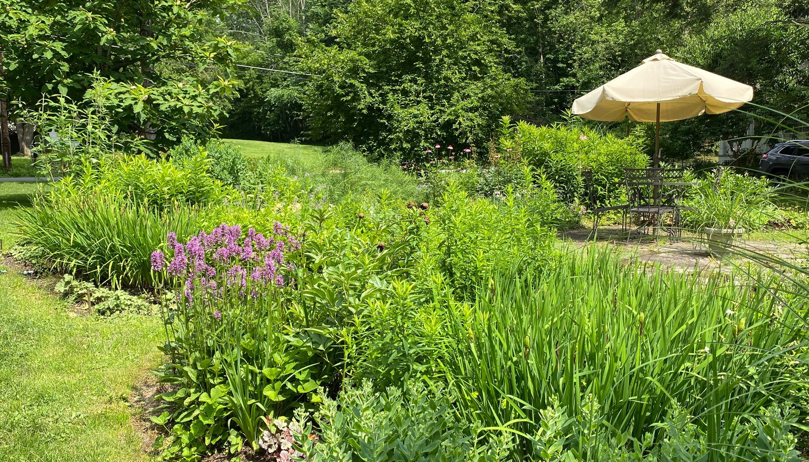 Image 14